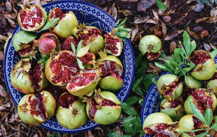 La Red de Juderías de España lanza su proyecto "Sabores de Sefarad"